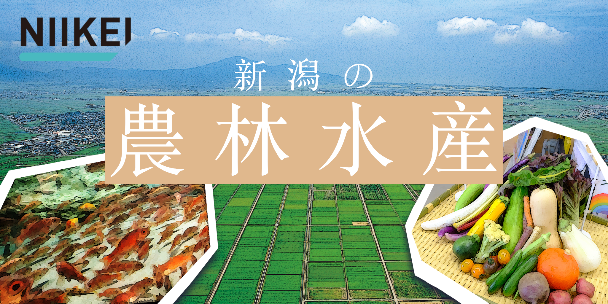 新潟の農林水産