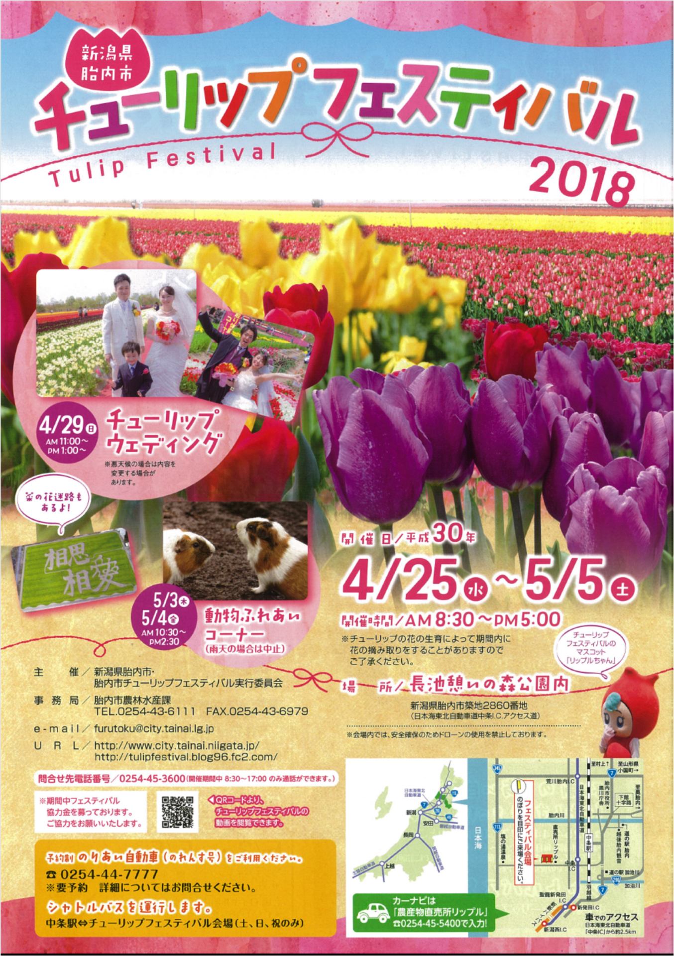 県の花 チューリップ のシーズンが間もなく到来 新潟県内のニュース にいがた経済新聞