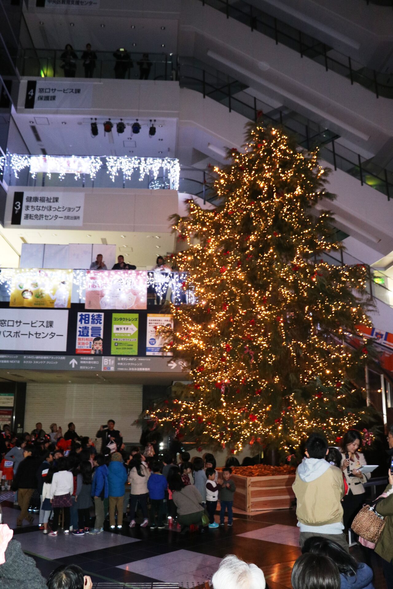 新潟市内随一の高さを誇るクスマスツリーがnext21にお目見え 新潟県内のニュース