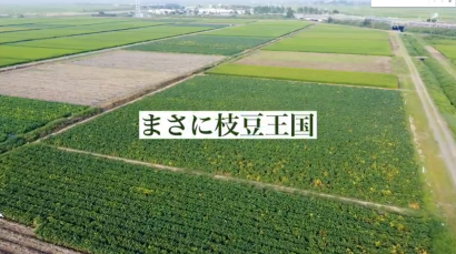 新潟市が市内農作物のプロモーション動画の制作開始、第一弾として枝豆の動画上映を開始