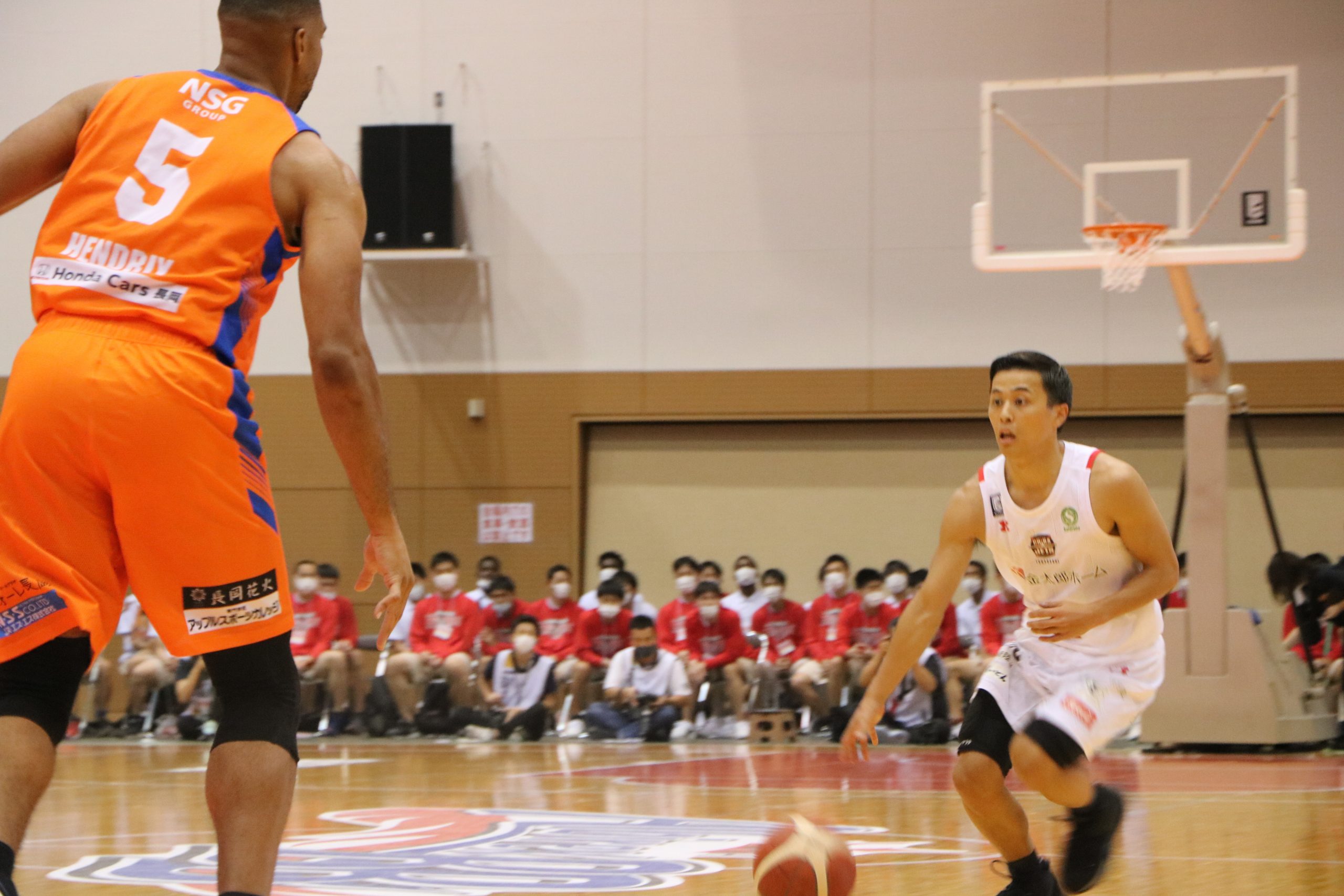新潟 県 バスケットボール 協会