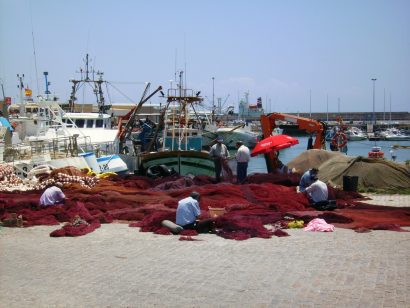 １１信用漁業協同組合連合会が合併し来年４月に「東日本信用漁業協同組合連合会」が誕生