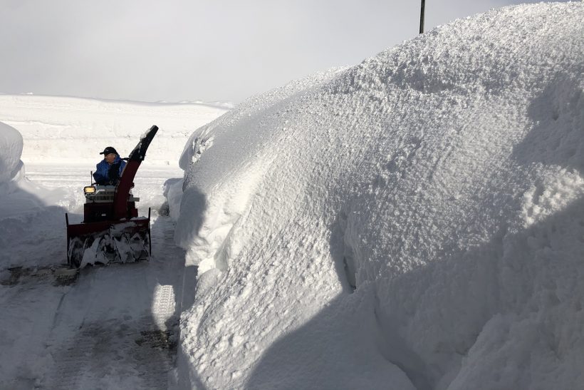 町 積雪 阿賀