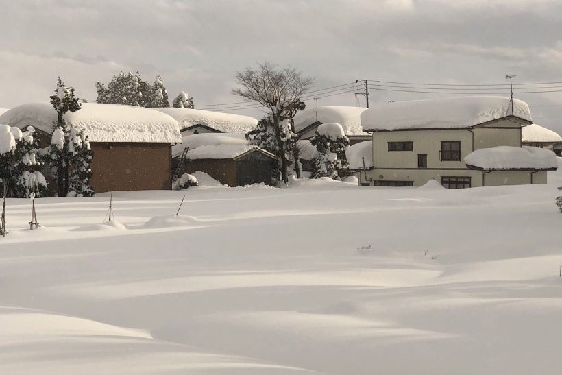 量 上越 市 積雪