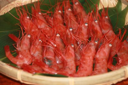 新潟県推進ブランド品目南蛮エビのPR作戦実施、JR新潟駅構内や 新潟漁協直売所・地魚工房で