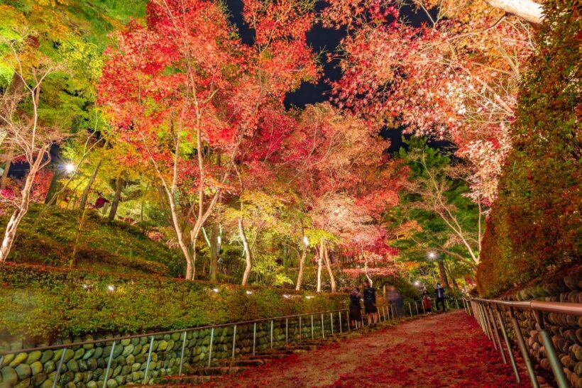 イベント情報】名所「松雲山荘」紅葉ライトアップ開催、10月26日から