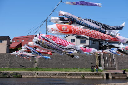 【写真コラム】青空に泳ぐ約500匹の鯉たち　加茂川の鯉のぼり、今年も鮮やかに（新潟県加茂市）