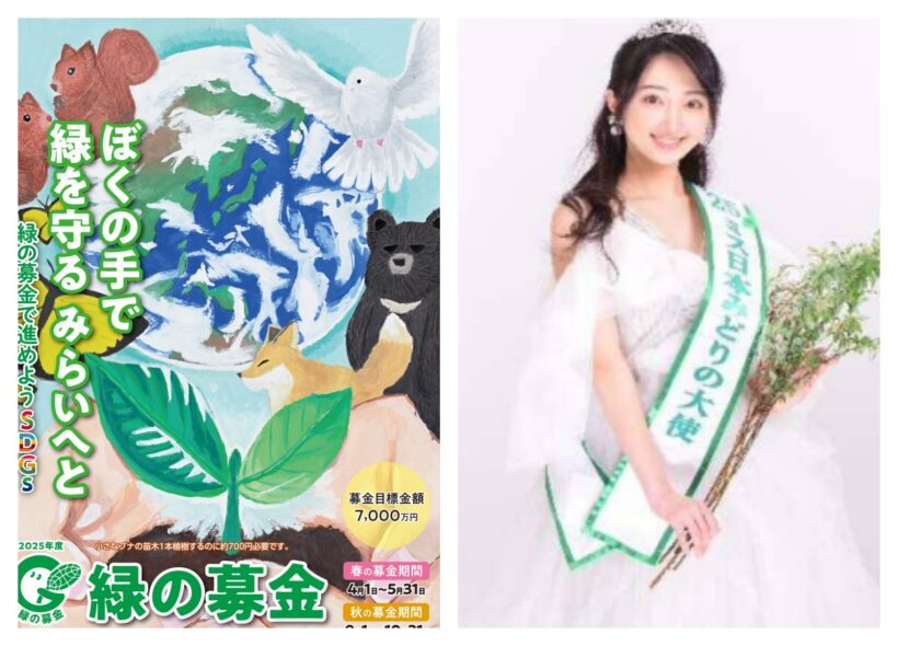 農芸化学の事典 農芸化学の事典 ｜朝倉書店