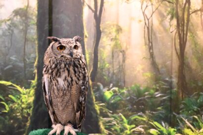 「うゎっ」と驚く40種が新潟に！　新潟県立自然科学館で夏の特別展「リトルモンスター展」開催