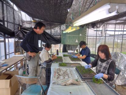 【記者ノート】新潟県農業大学校修了の女性3人を主力に、25棟のビニールハウスで野菜や野菜苗作り等約30年　野菜苗や花苗の植込みには、やはり女性ならではのきめ細やかさが求められる