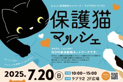 【タイアップ】特別マルシェ「保護猫マルシェ」を新潟市中央区「ラブラ2」2F広場で開催