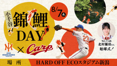 プロ野球の会場に”錦鯉”が登場！？新潟で「小千谷錦鯉DAY」開催へ　始球式はNGT48北村優羽さん