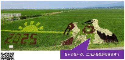 佐渡市で「朱鷺と暮らす郷 田んぼアート」が見ごろ、大阪・関西万博公式キャラクターのミャクミャクも7月下旬にかけて出現