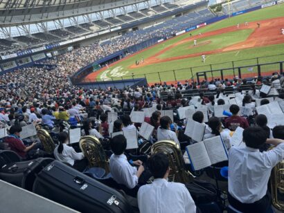 オイシックス新潟アルビレックスBC、観客動員8万人突破　巨人戦で記録更新