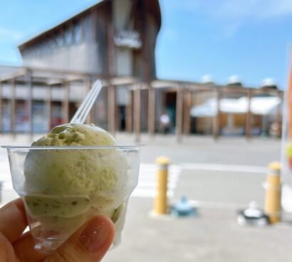 【キシャメシ 夏休み特集】＜真夏のひんやり甘味処＞濃厚なのにさっぱり！つぶつぶ感たっぷりのだだちゃ豆アイス