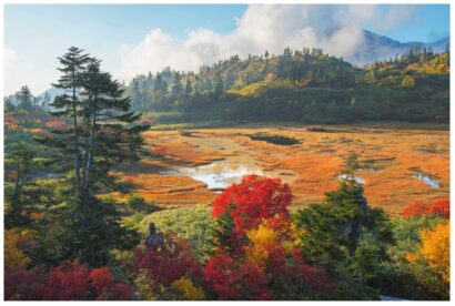 【絶景の中の憩いの場】高谷池ヒュッテ（新潟県妙高市）、標高2,100mの山小屋カフェは日帰りでも価値ある体験を提供