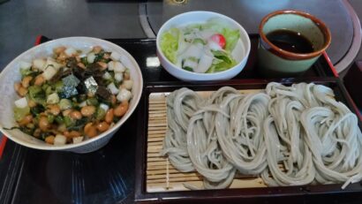 【キシャメシ】十日町の昼は「へぎそば」と「切ぜえ丼」で決まり!(新潟県十日町市 妻有(つまり)の食工房 直志庵さがの)