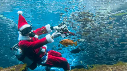 【サンタコスのダイバーも登場】上越市立水族博物館うみがたりでクリスマスイベント開催