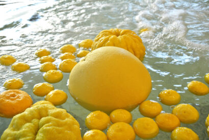 【世界一のゆず風呂】12月22日、小須戸温泉・花の湯館で冬至に巨大な「晩白柚」を投入（新潟市秋葉区）