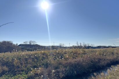 新潟市北区島見町で6,000坪超の大規模売地が公開　事業用需要に期待