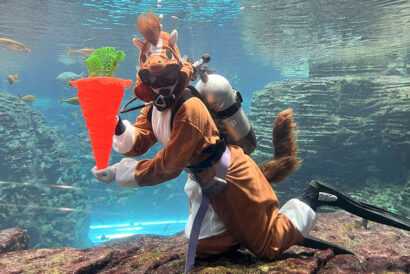 大水槽にウマダイバーが登場　上越市立水族博物館で「うみがたりのお正月」開催