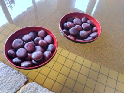 世界最大の豆が温泉に！　さぎの湯で節分企画「世界一の豆風呂」開催（三条市）