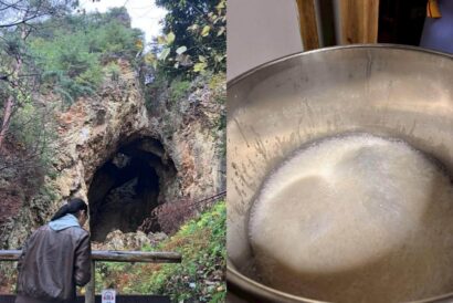 【酒の神様がくれたご縁】世界遺産「佐渡金山」の落ち葉から日本酒酵母発見　島内5蔵が同一酵母で酒造り、「にいがた酒の陣2026」で初披露へ