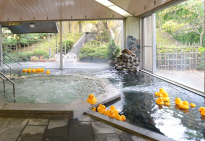 小須戸温泉「花の湯館」が転入者応援割引を開催、3月と4月の転入者が入館料500円に　5月31日まで