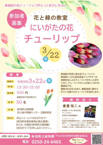 新潟の花チューリップ