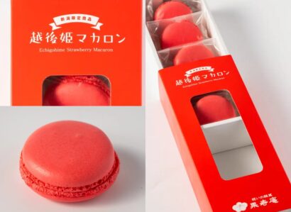 【新潟駅限定販売】福島発の急成長スイーツブランド・果寿庵から『越後姫マカロン』
