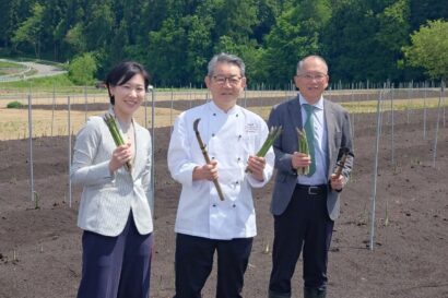 「瑞々しく、味も詰まっている」津南産アスパラを全国へ　ANAケータリングサービス総料理長が現地で魅力体感