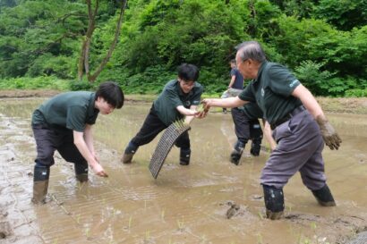 【おいしい米菓のために、おいしい米を】岩塚製菓、自然栽培米「天神谷米」の取り組みが10年目に　新入社員も田植えに参加