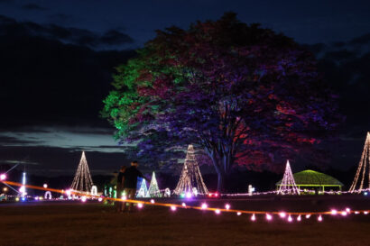 【夏の夜の幻想風景】国営越後丘陵公園（長岡市）でサマーイルミネーション開催