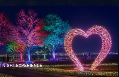万代島リバーフロントパークで「光」「音」「食」「花火」が融合するイベント、シルバーウィークの9月19日～23日