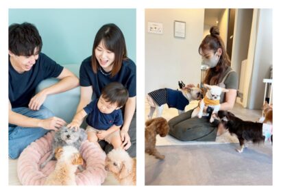 【新潟県初上陸】保護犬猫と心通う癒しスペース「ANELLA CAFE」が新発田市に8月8日オープン