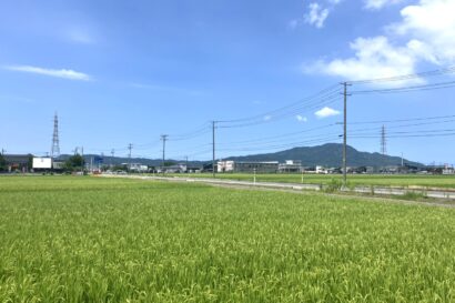 【男性の死亡を確認】新潟市西蒲区の用水路で行方不明者を発見