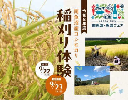 NASPAニューオータニ、南魚沼産コシヒカリの稲刈り体験を9月23日に開催