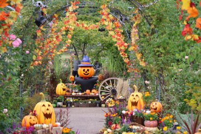 【秋バラとハロウィン】国営越後丘陵公園、夜はライトアップも　10月3日から