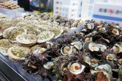【活ほたてに続く第2弾】角上魚類鶴ヶ島店で活さざえ直売　9月26日・27日限定