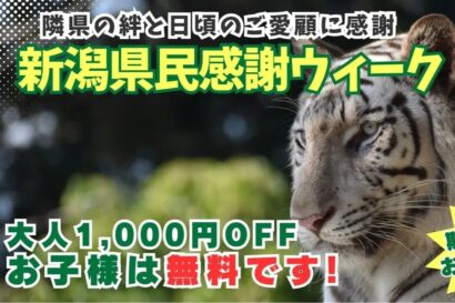 子ども無料、大人1000円引き　群馬サファリが新潟県民割を実施