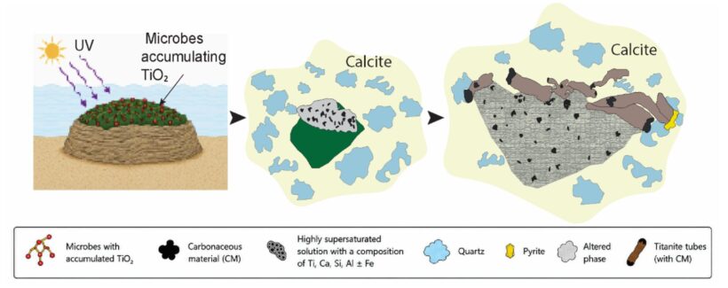 チタナイトの小さな管ができるまでのモデル。左から、紫外線を浴びる微生物が二酸化チタンをため込み、岩石が溶けた跡をチタナイトが埋めていく(新潟大学の資料より)